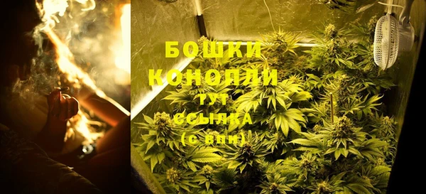тгк Елабуга