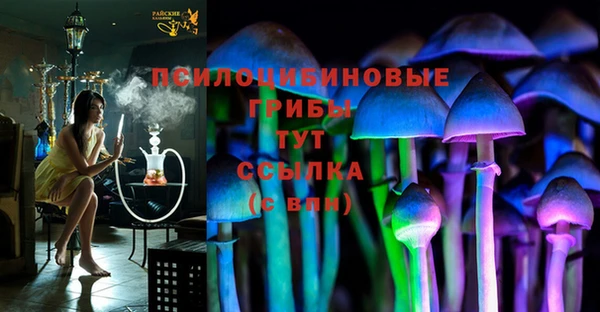 mdma Ельня
